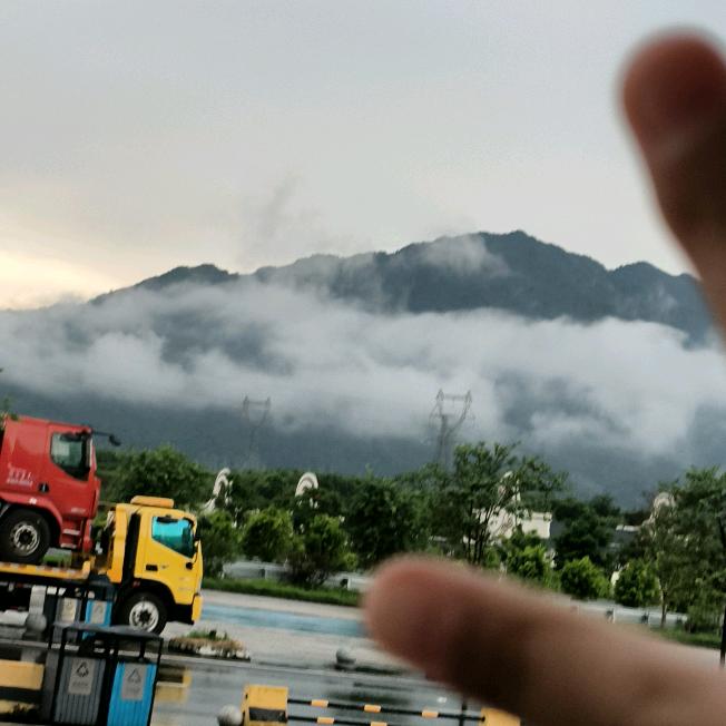 小柠檬