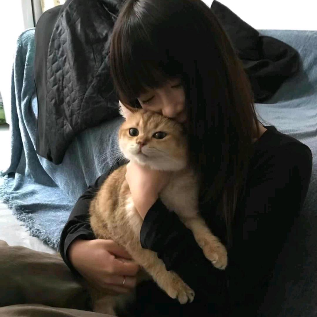 卑劣难改