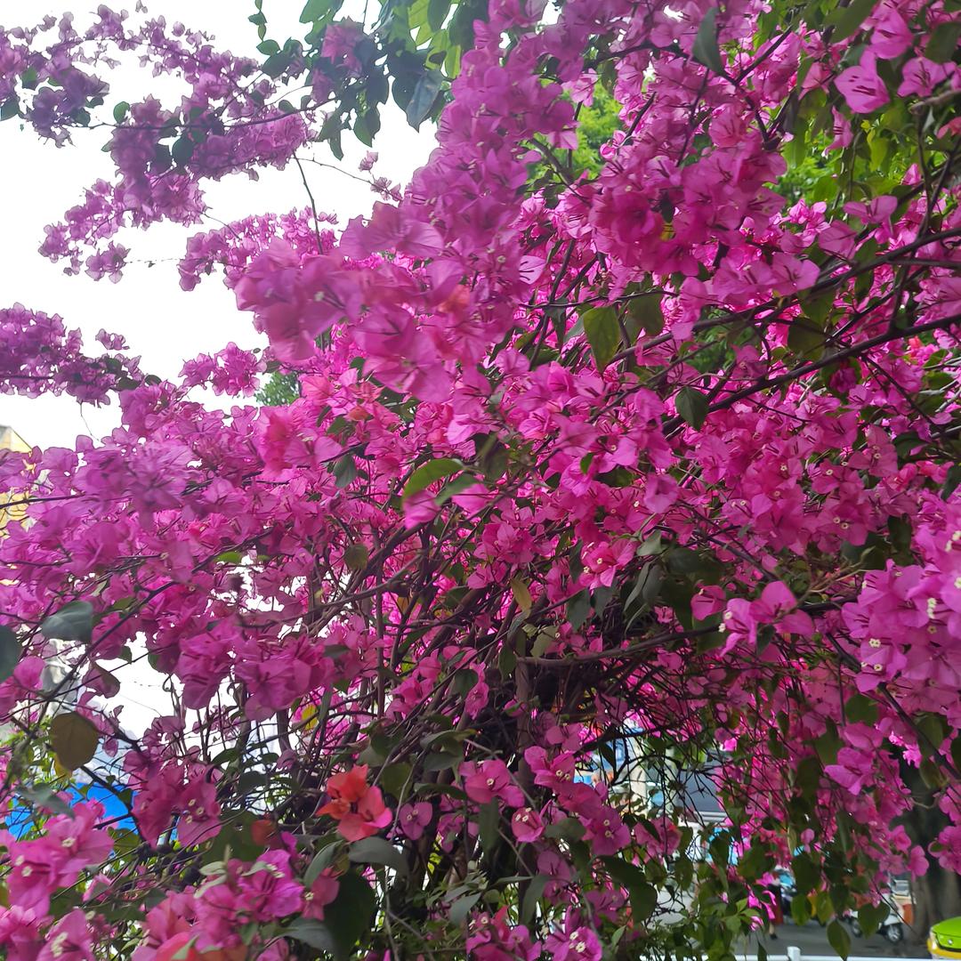 往后余生各自安好