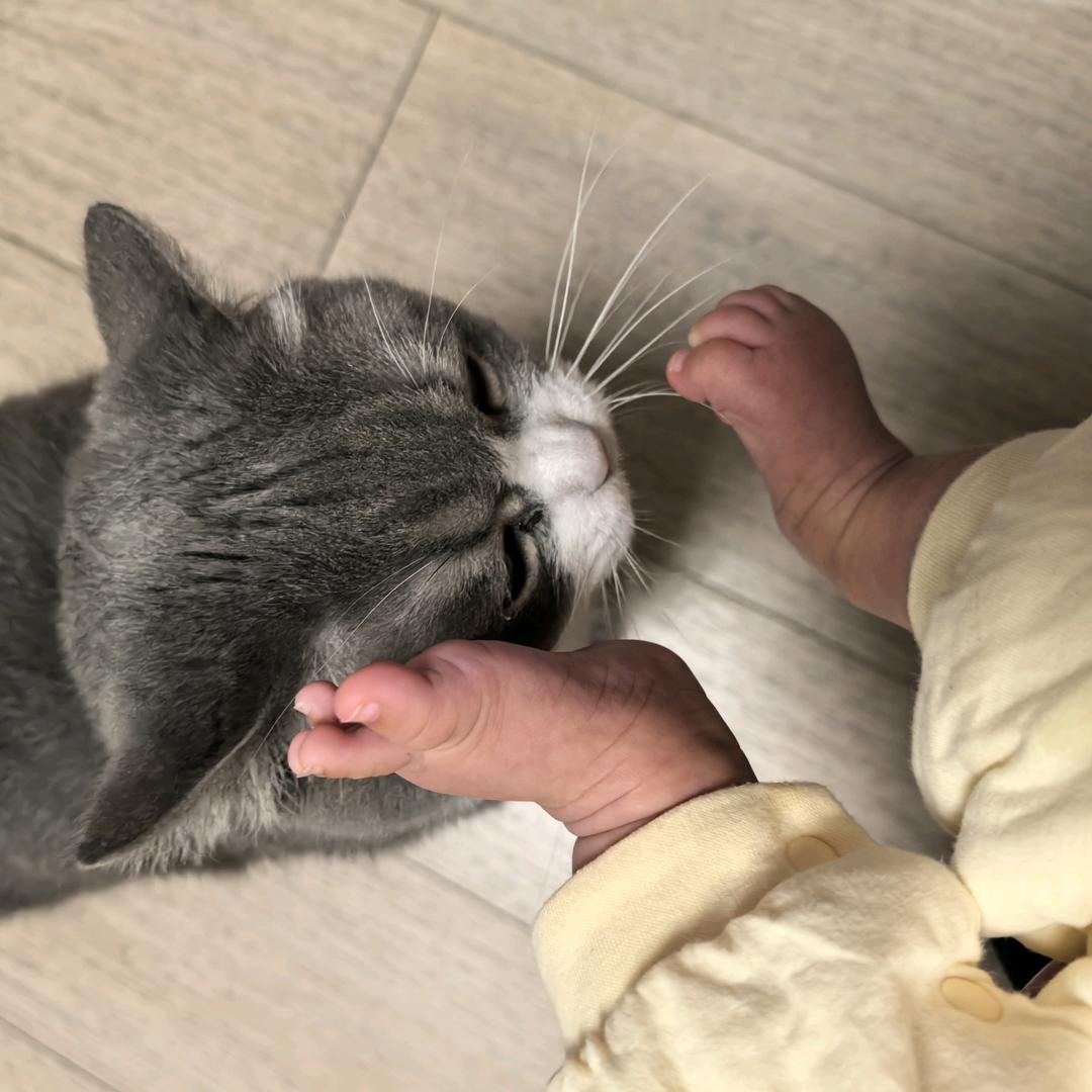 代打 电话  复合 茶岗 代 举报 发帖