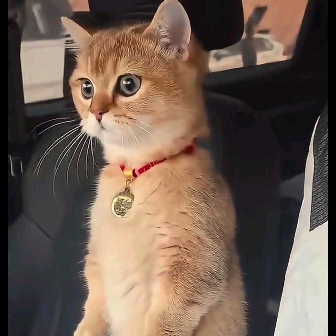弥陀