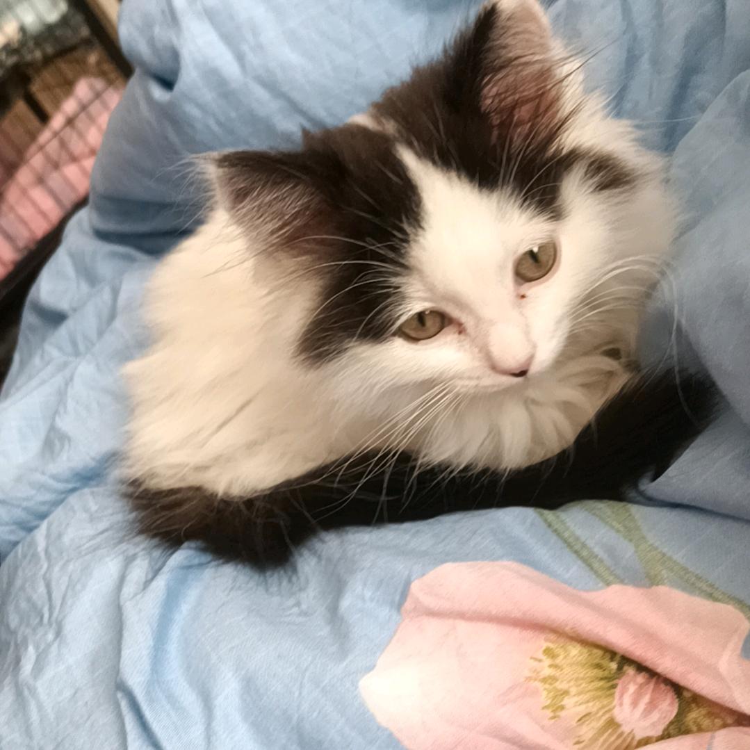 爱玩麻将的小王