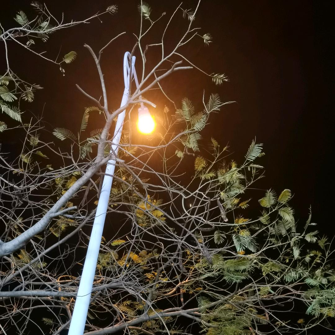 爱生活爱健康