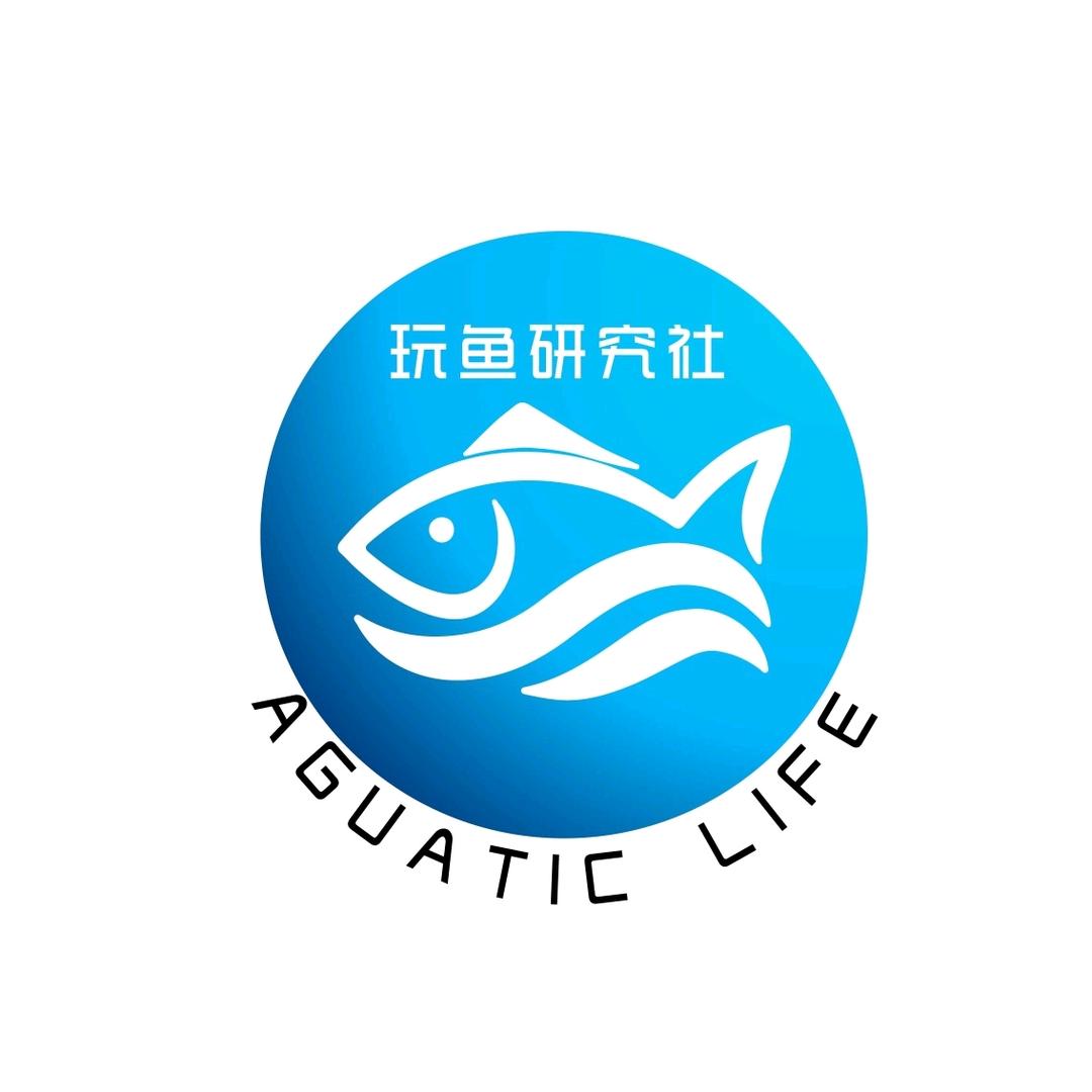 玩鱼研究社