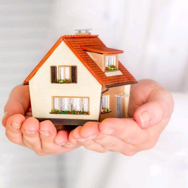 金凯信息服务咨询