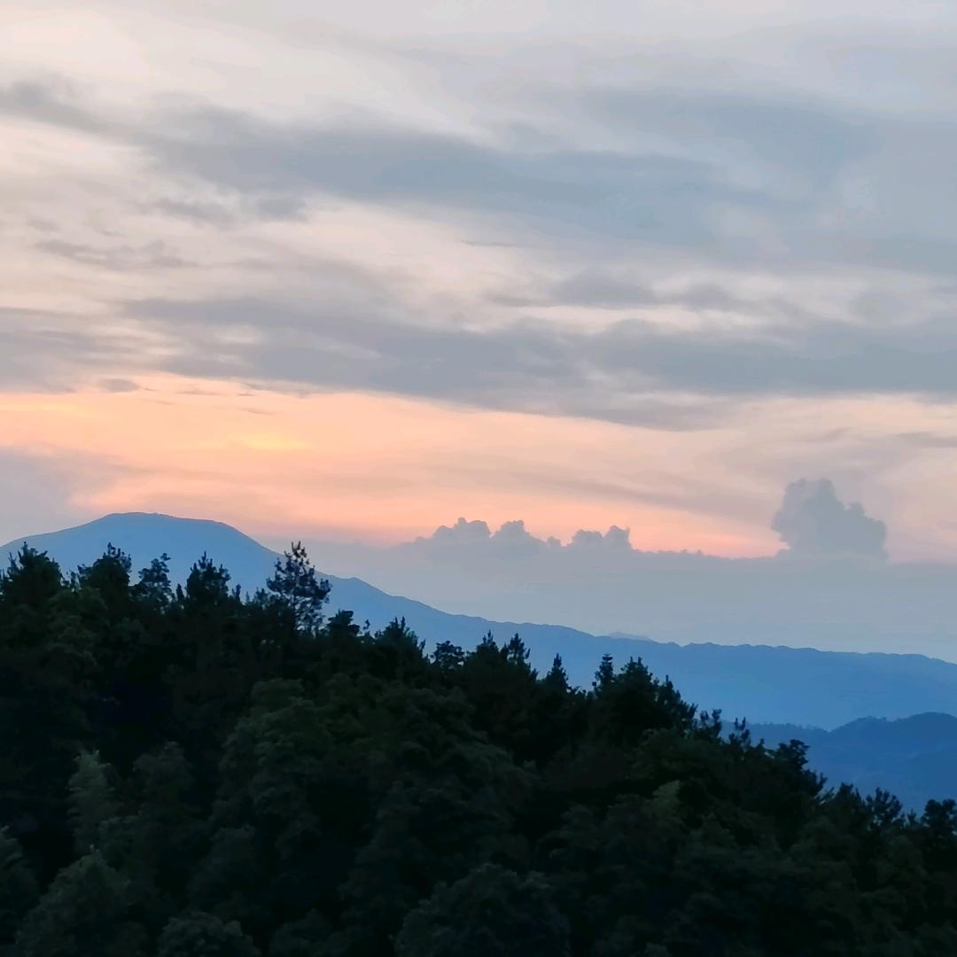 随风飘