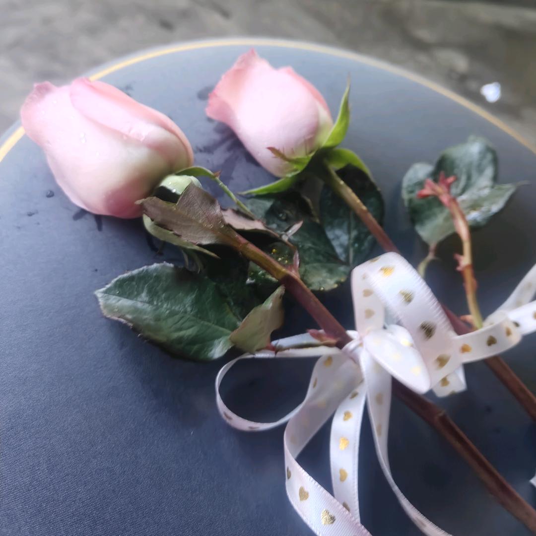 💞᭄ཽ࿆满是心酸꧔ꦿ᭄❀:皆遗憾💞࿐