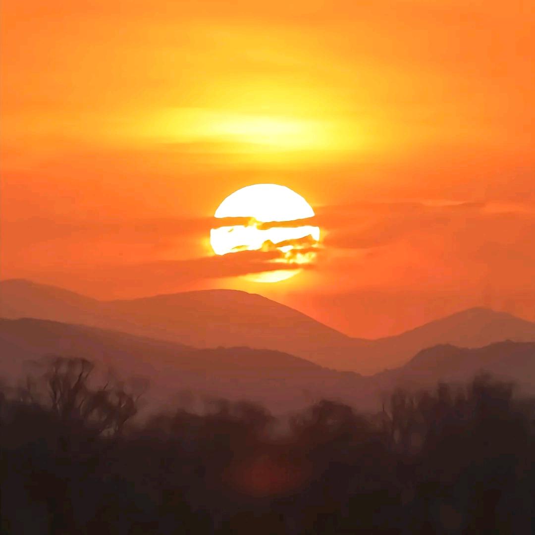 辉煌资傲岚科技主播