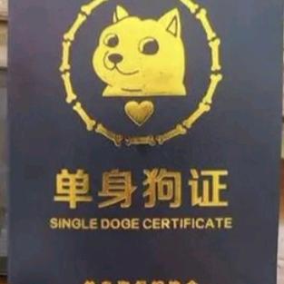 执念太深