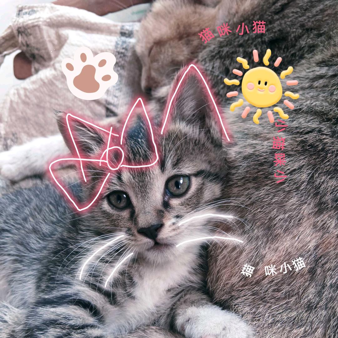 春暧花开