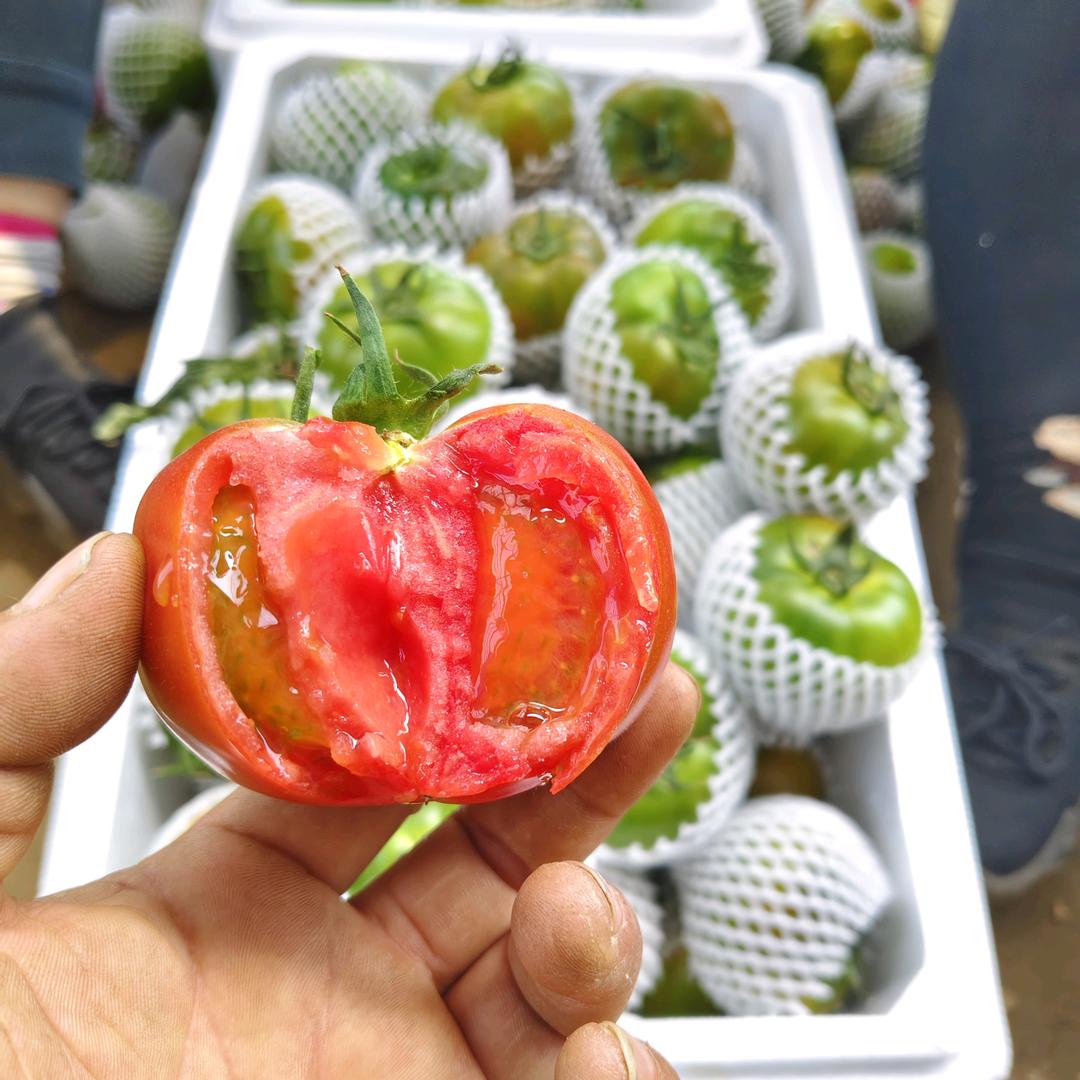 柿柿如意