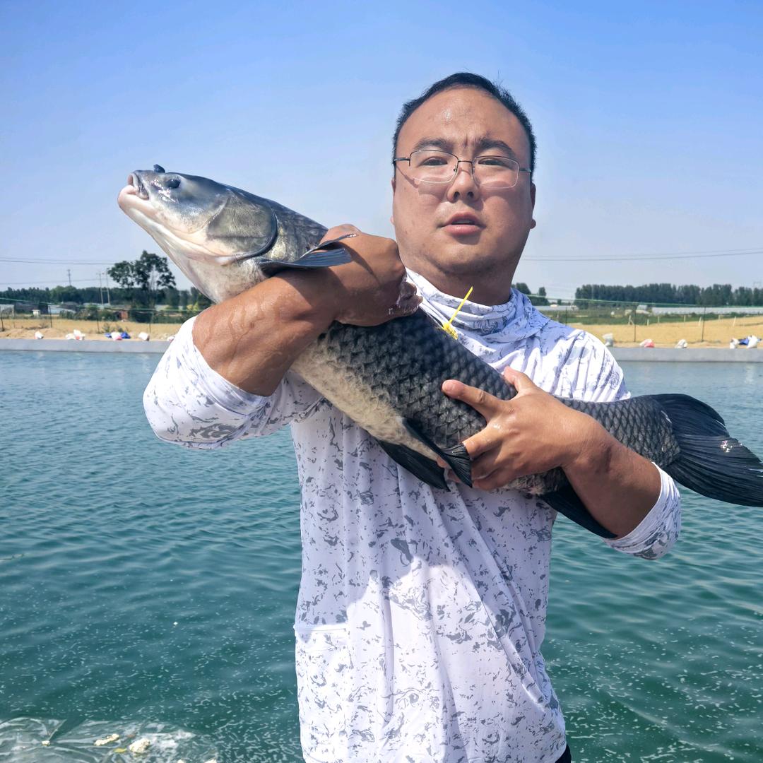 钓鱼的逗逗