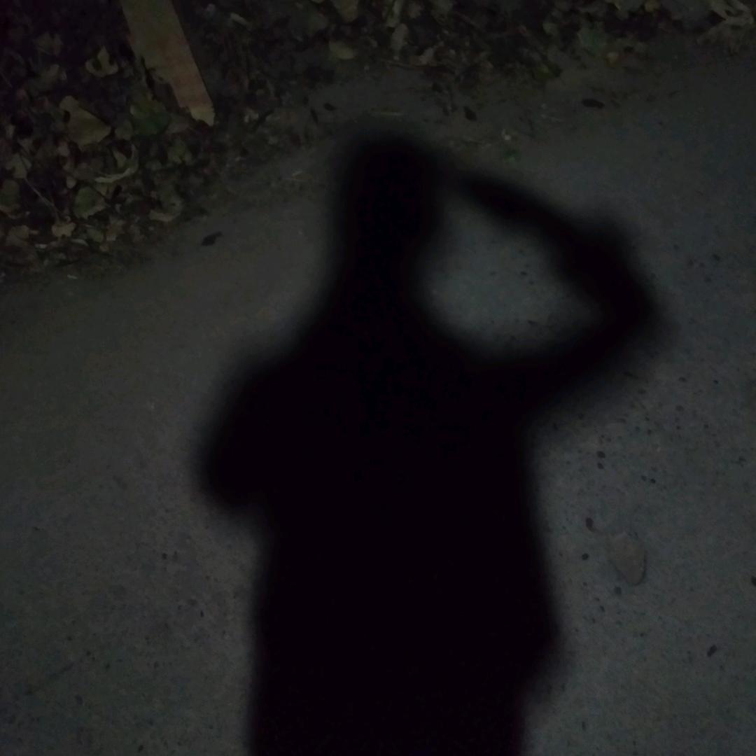 一心向党浩浩🇨🇳