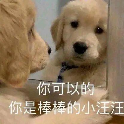 画心跑刀（三角洲行动）