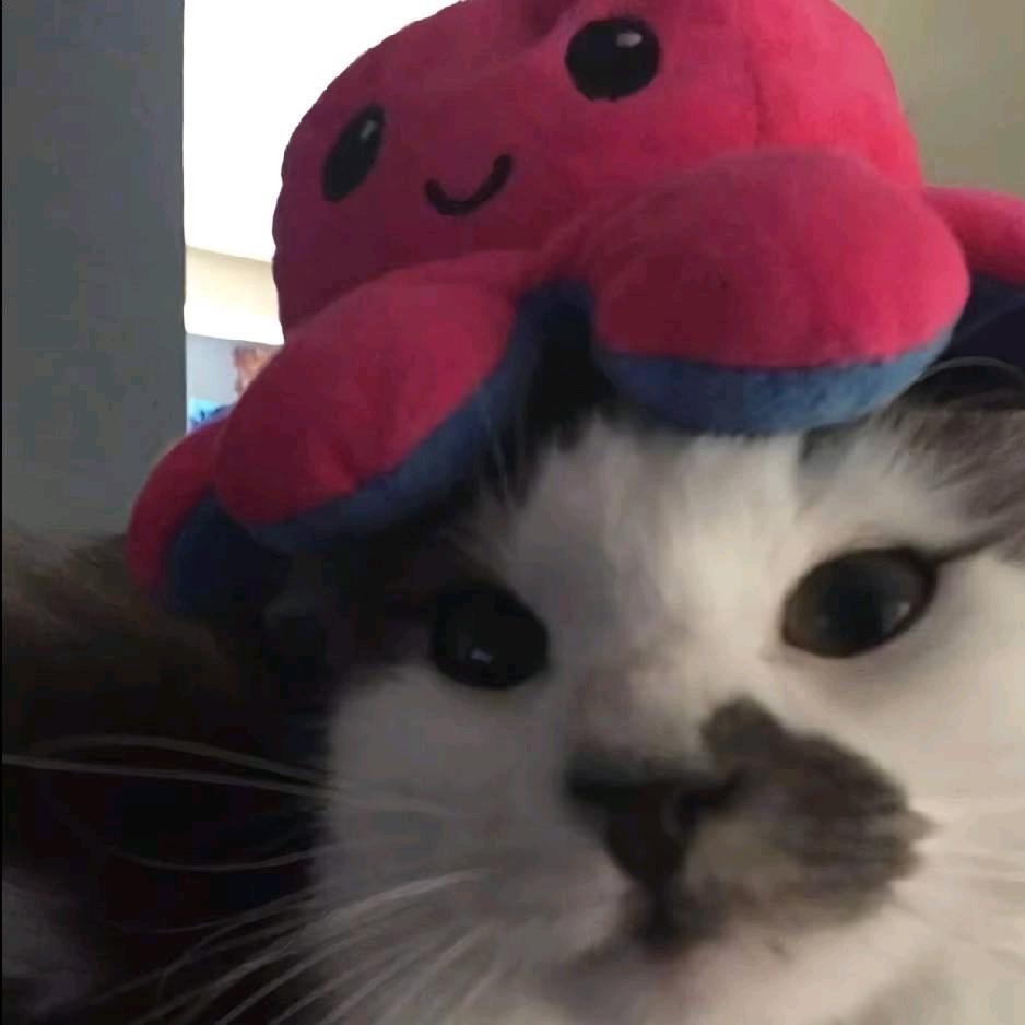 玉