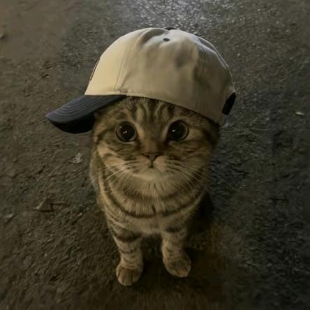 我其实是个帅哥