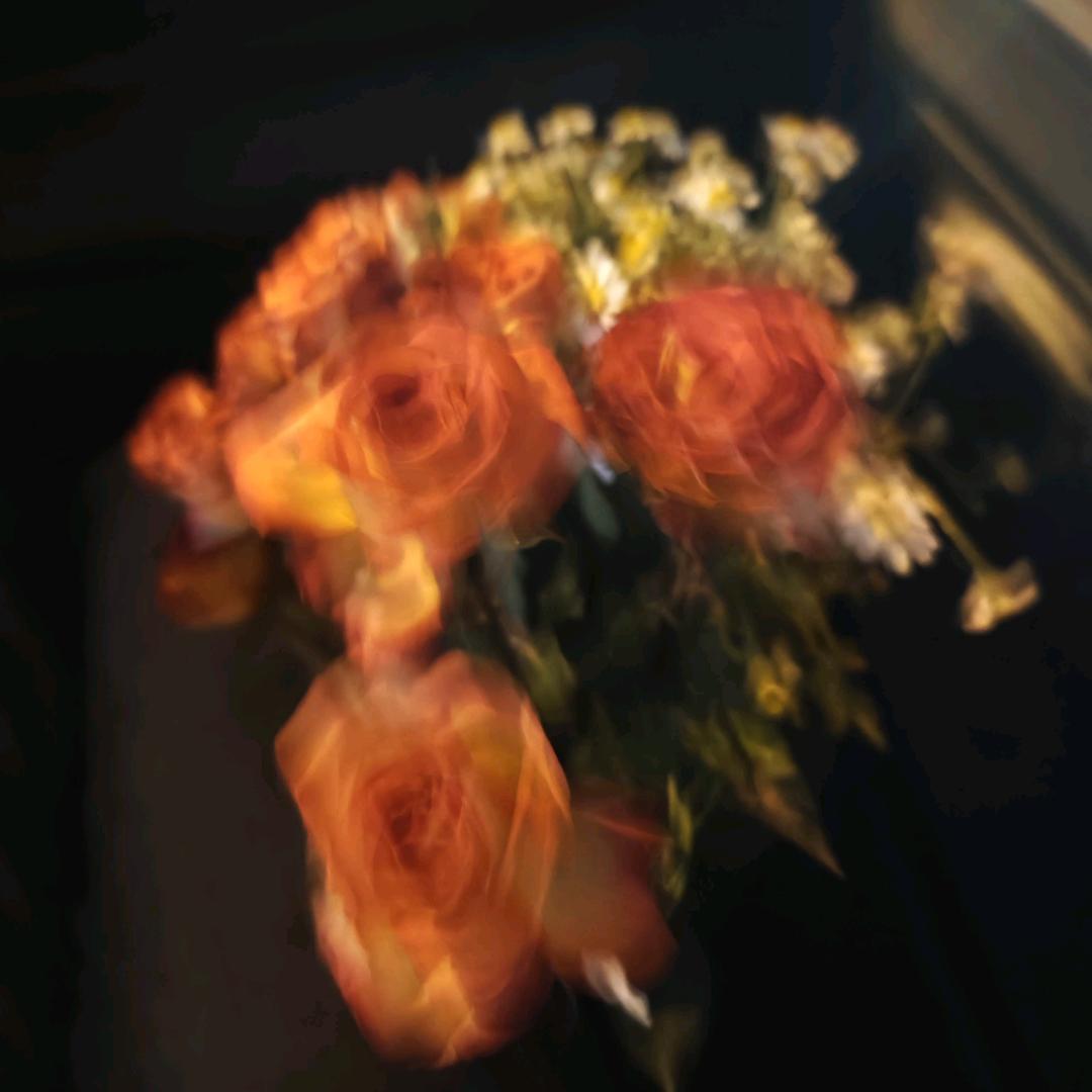 花菜菜