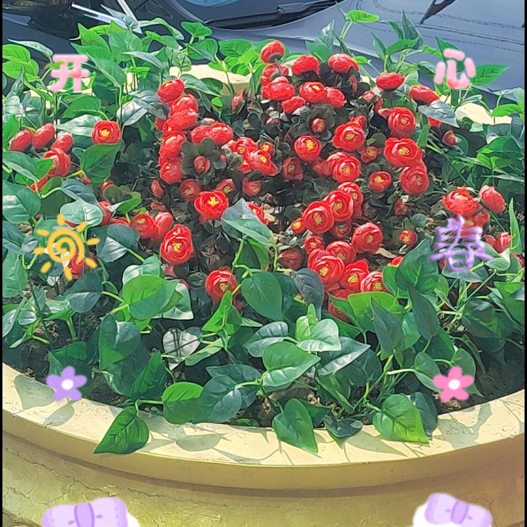 守护自己