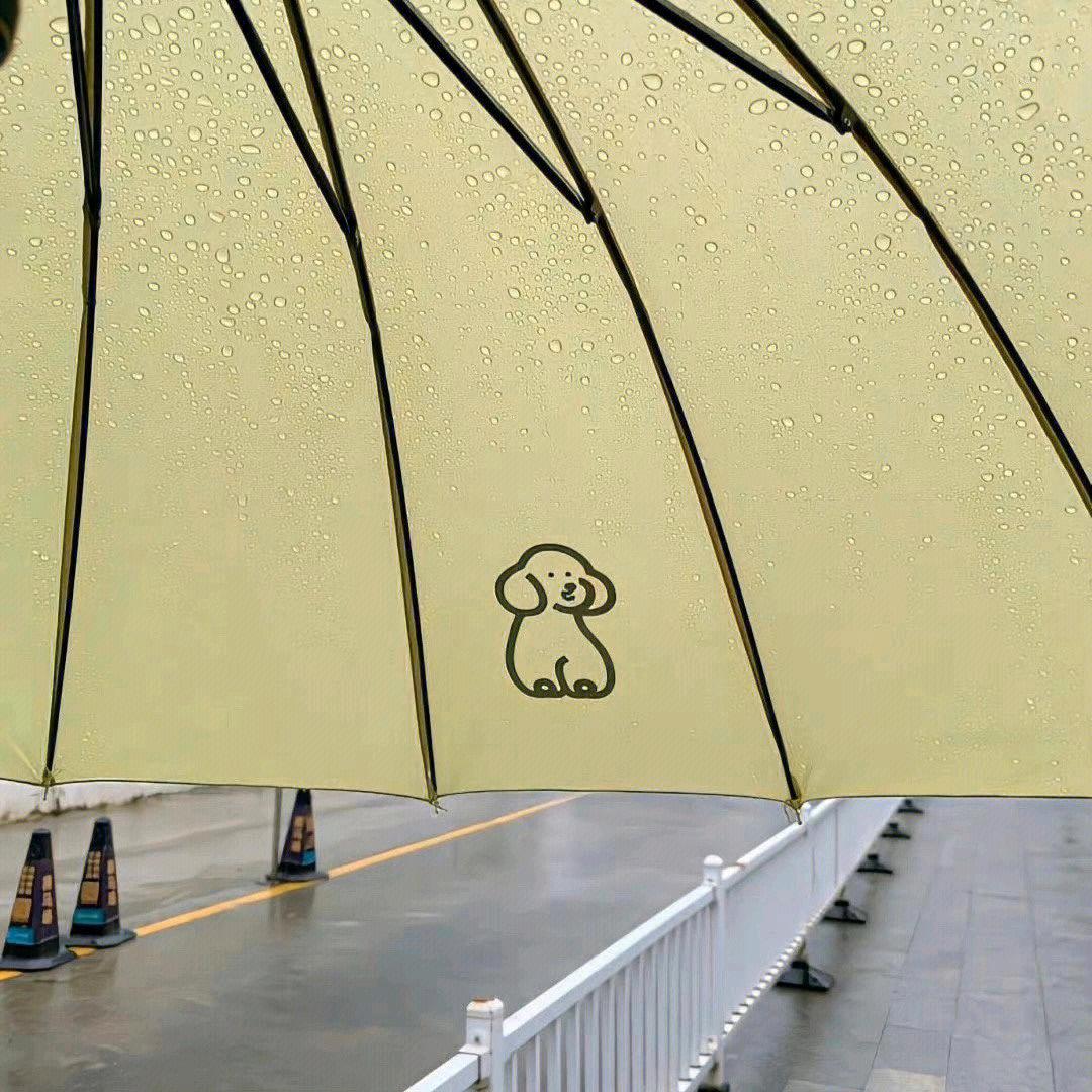 小魚冻干