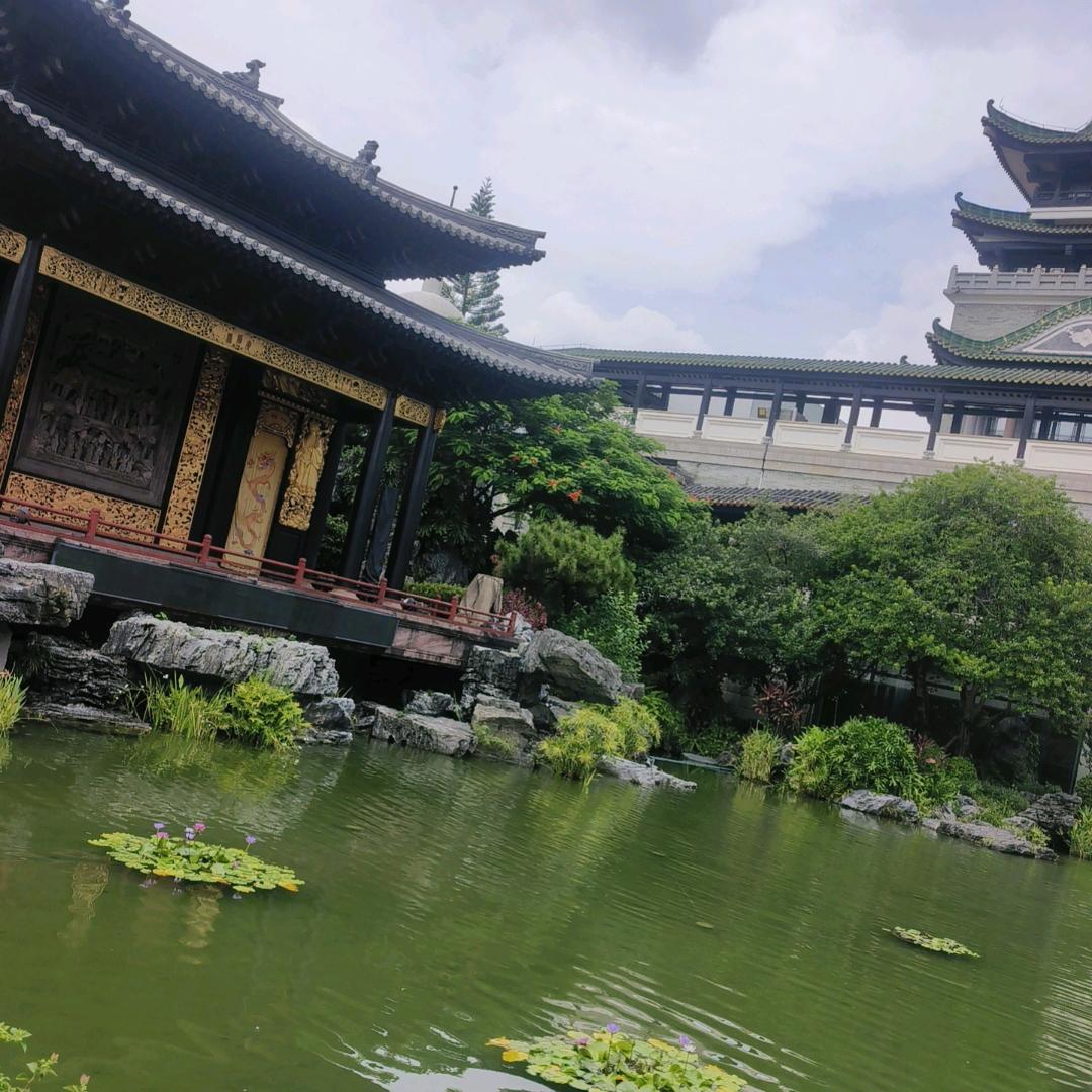 会死吗？？？