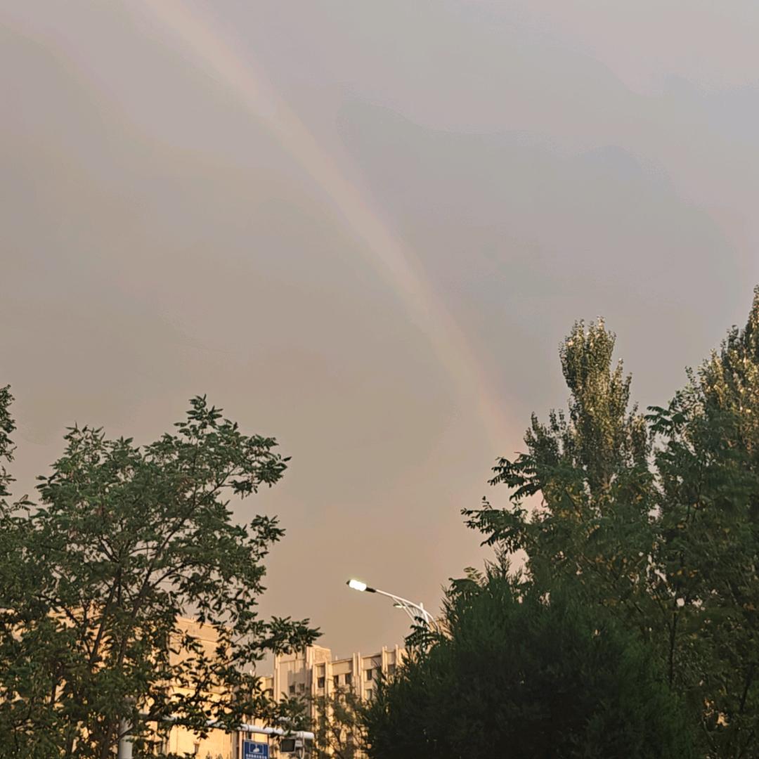 落雨⇆