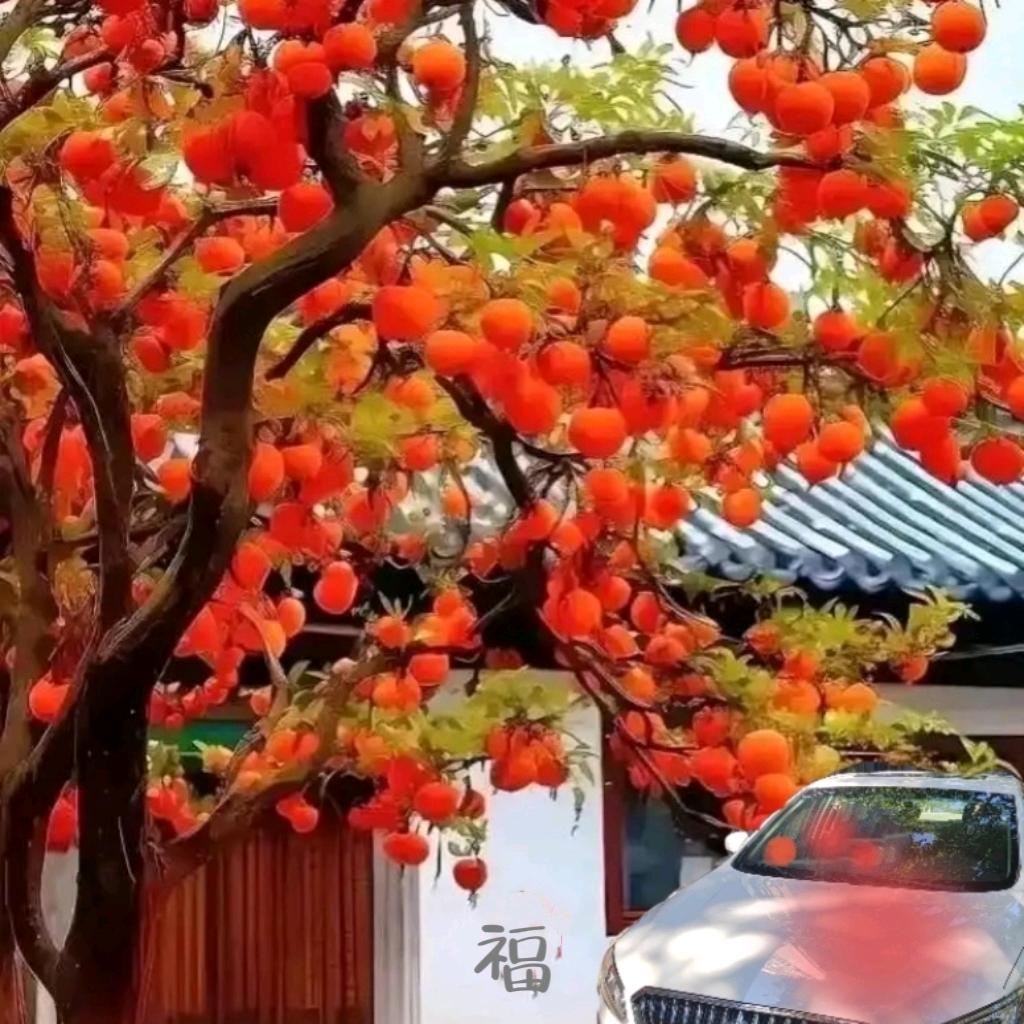 正好