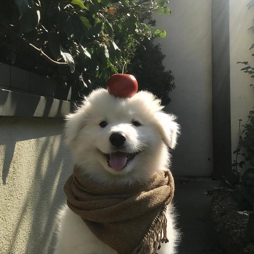 定风波