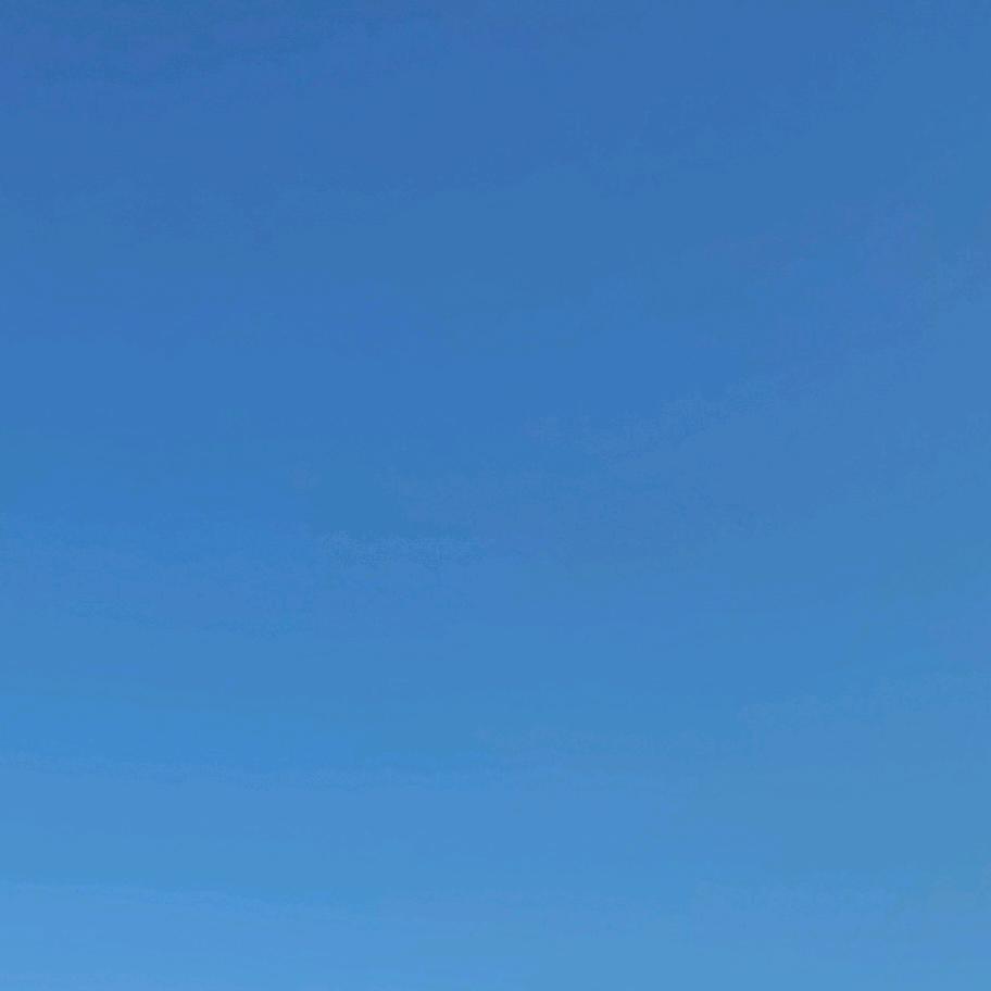 尤晓倩