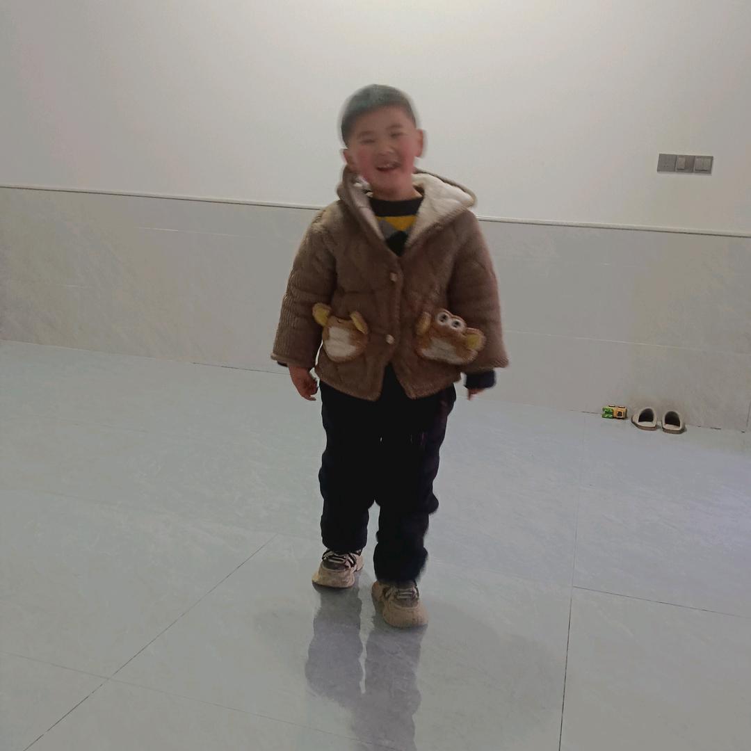 老虎骑马赛跑
