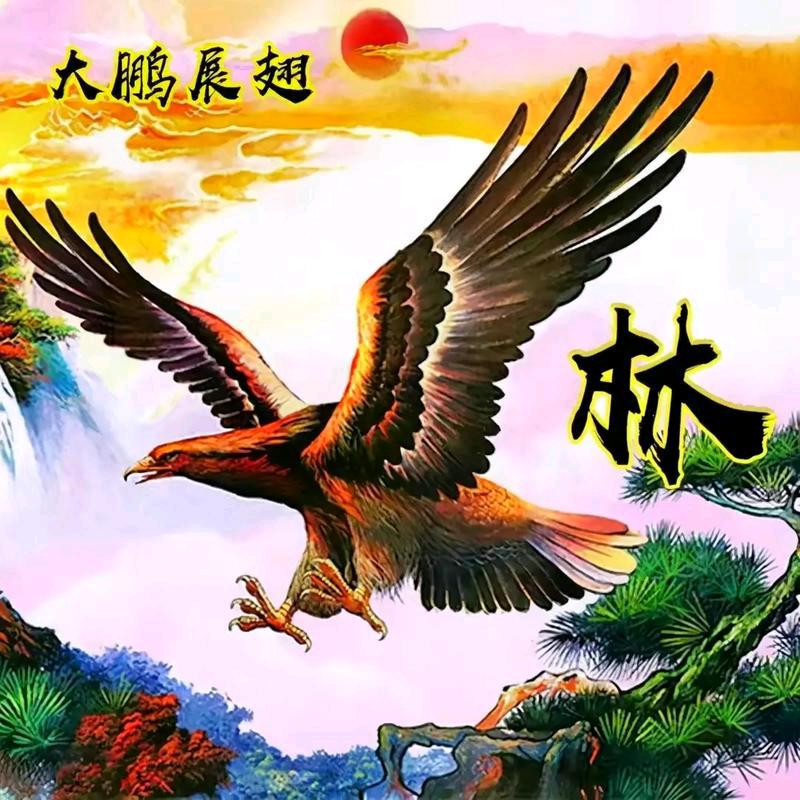 無悔༂生