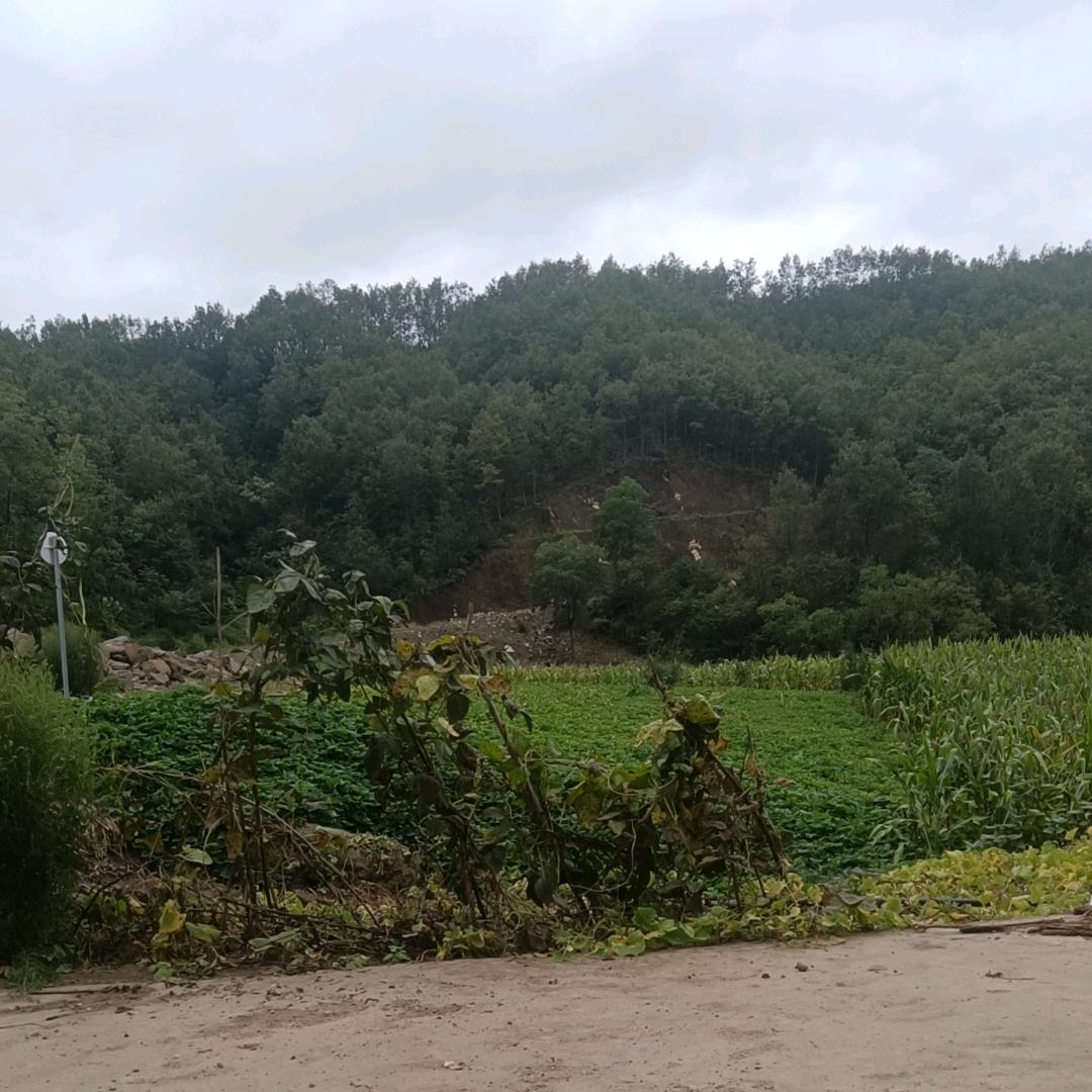 安家乐业