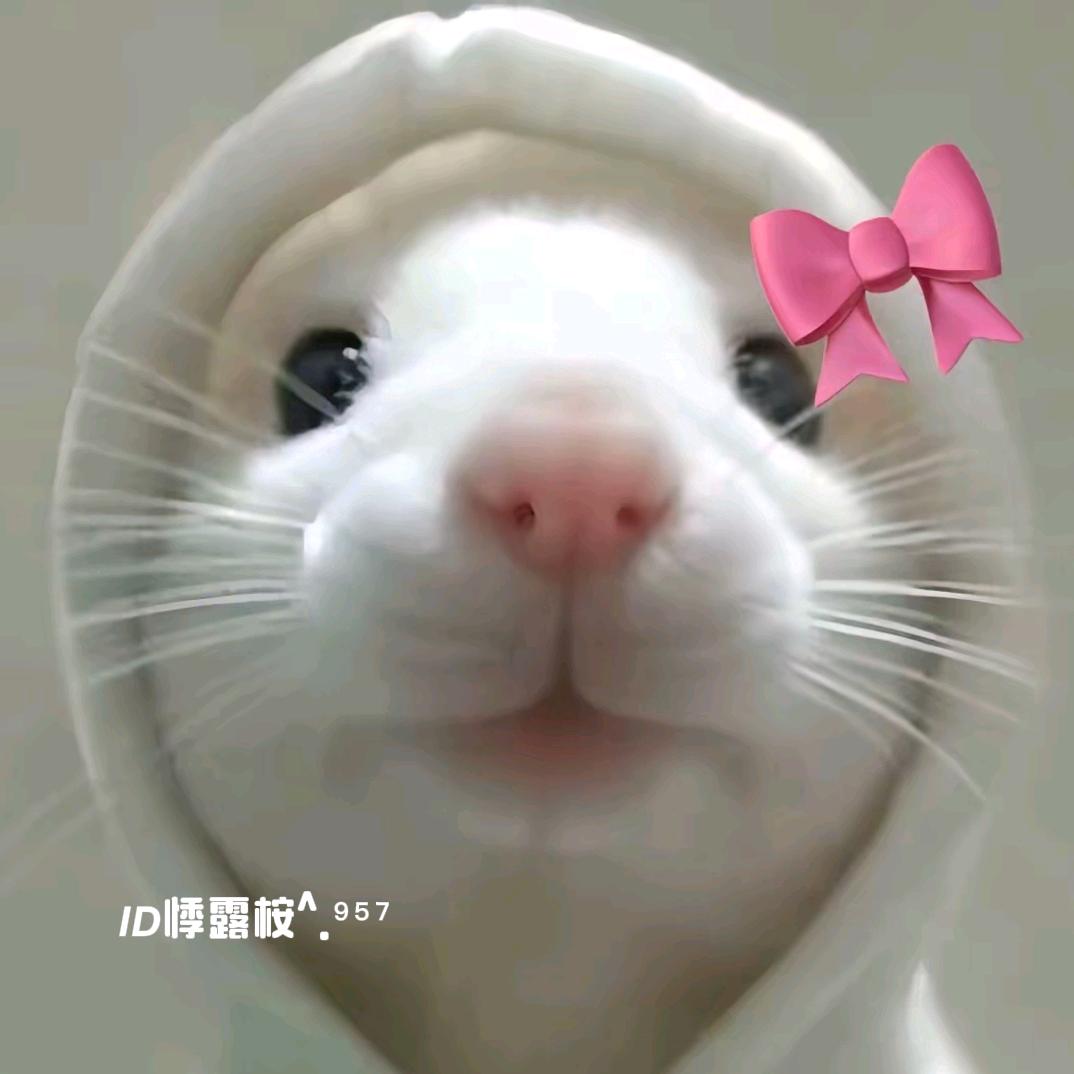 𝙄𝘿悸露桉^.⁹⁵⁷