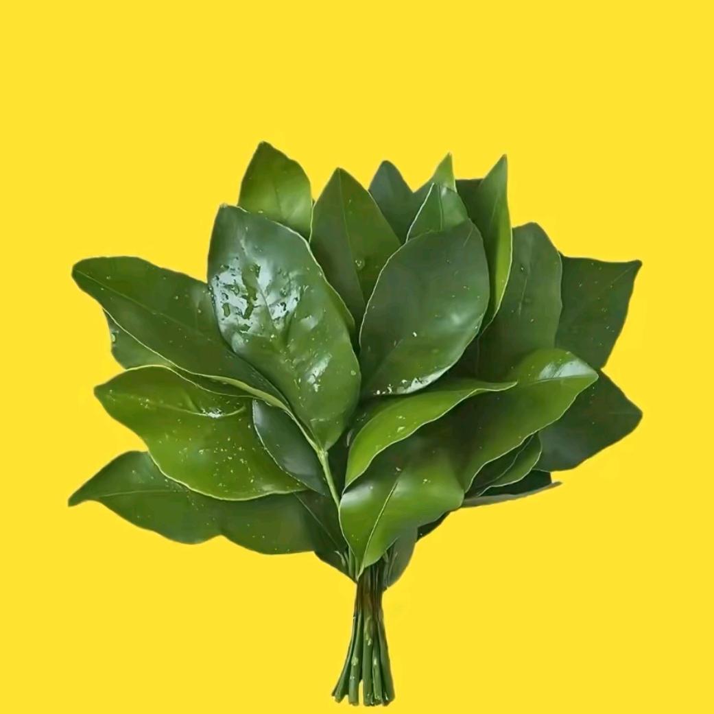 淼