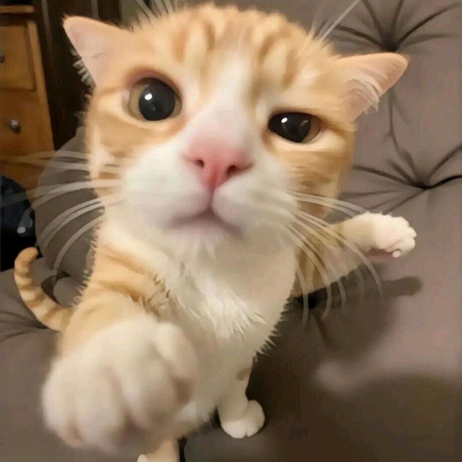 POP染发屋官方号