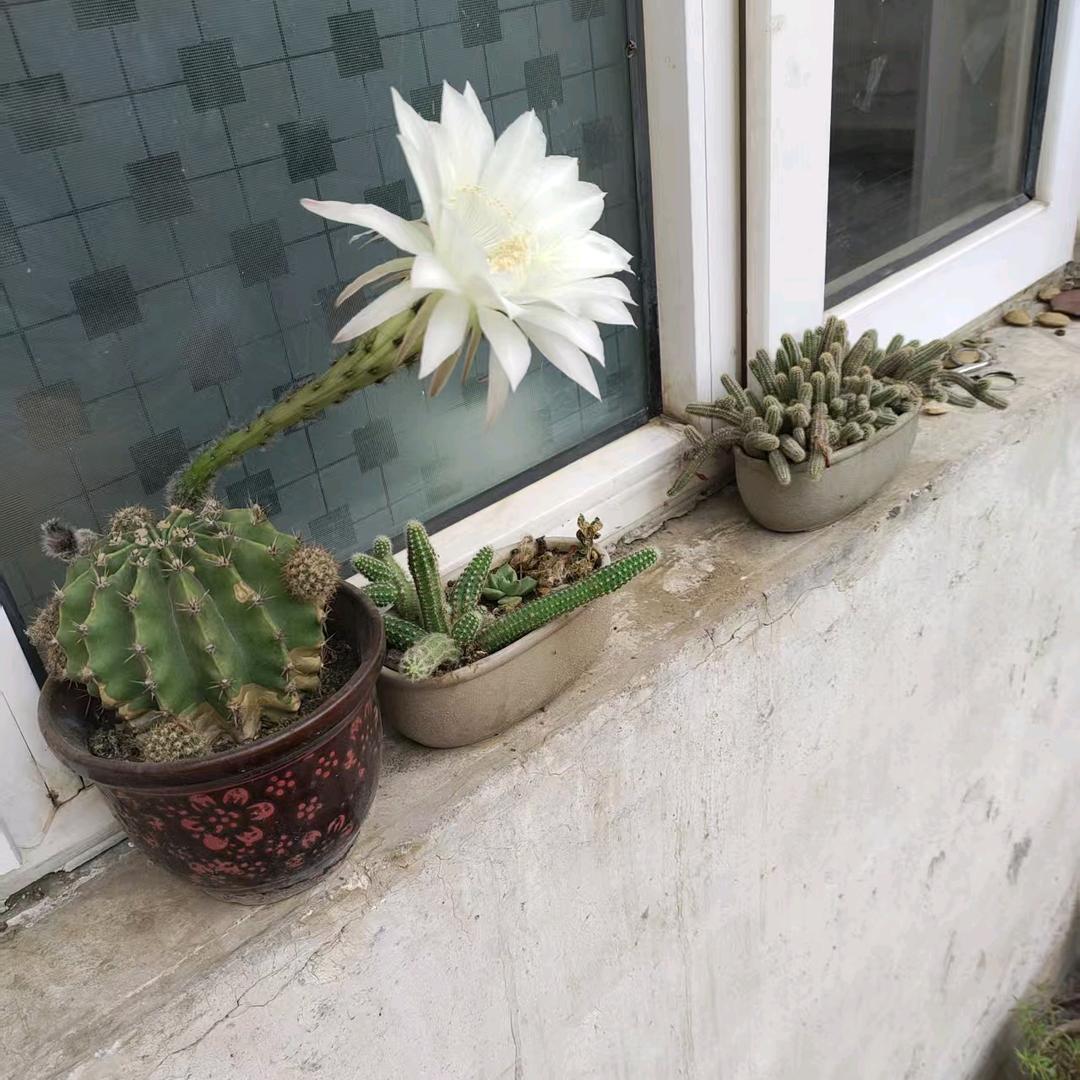 红尘趣事