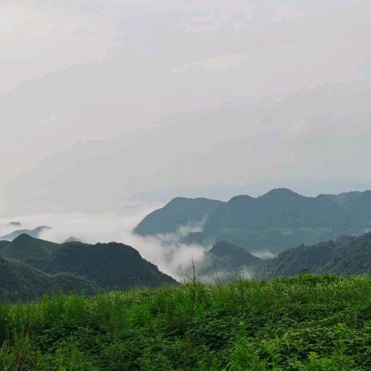 彭派风水嫡传之（翰墨生香三合奇门传承）