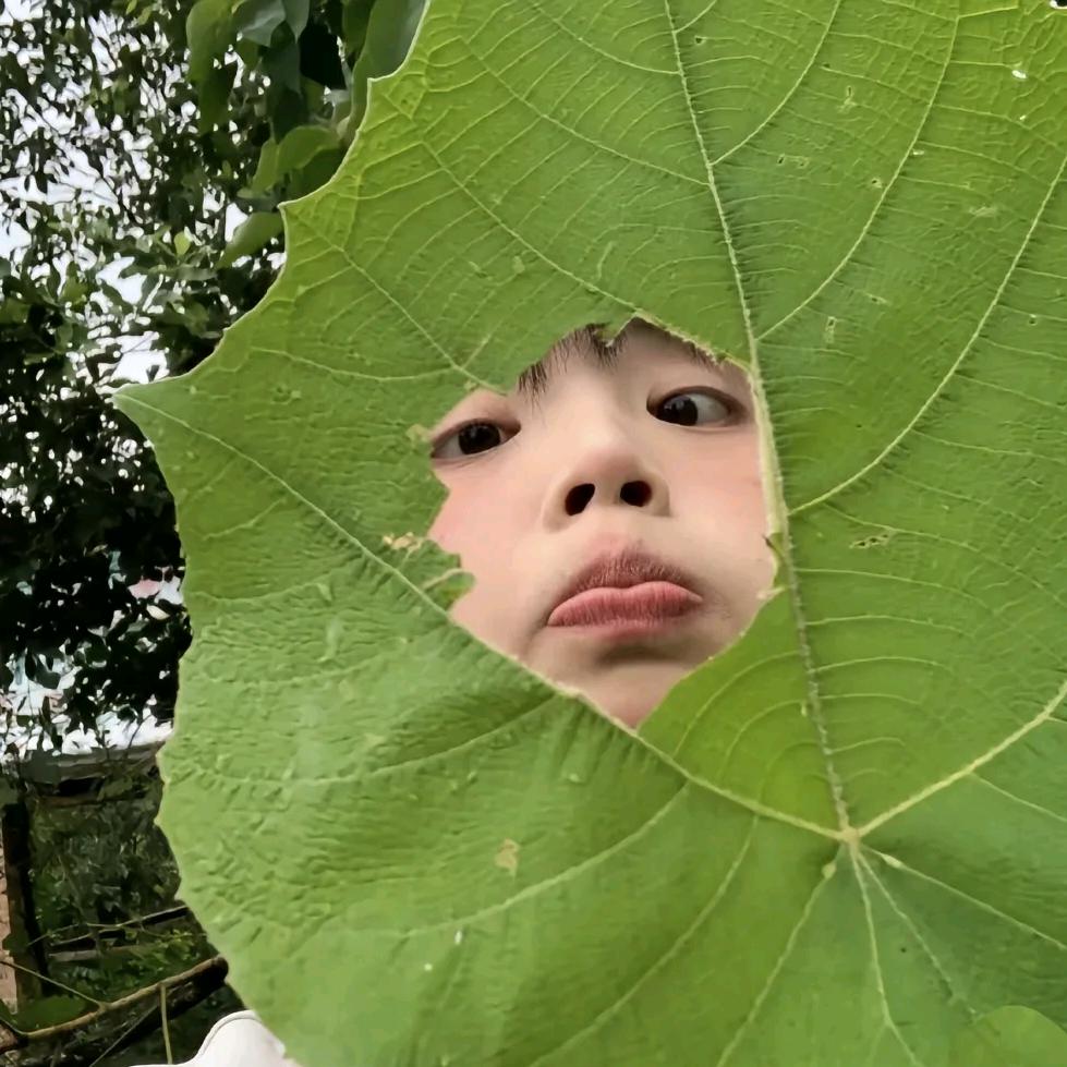 开心果耶耶