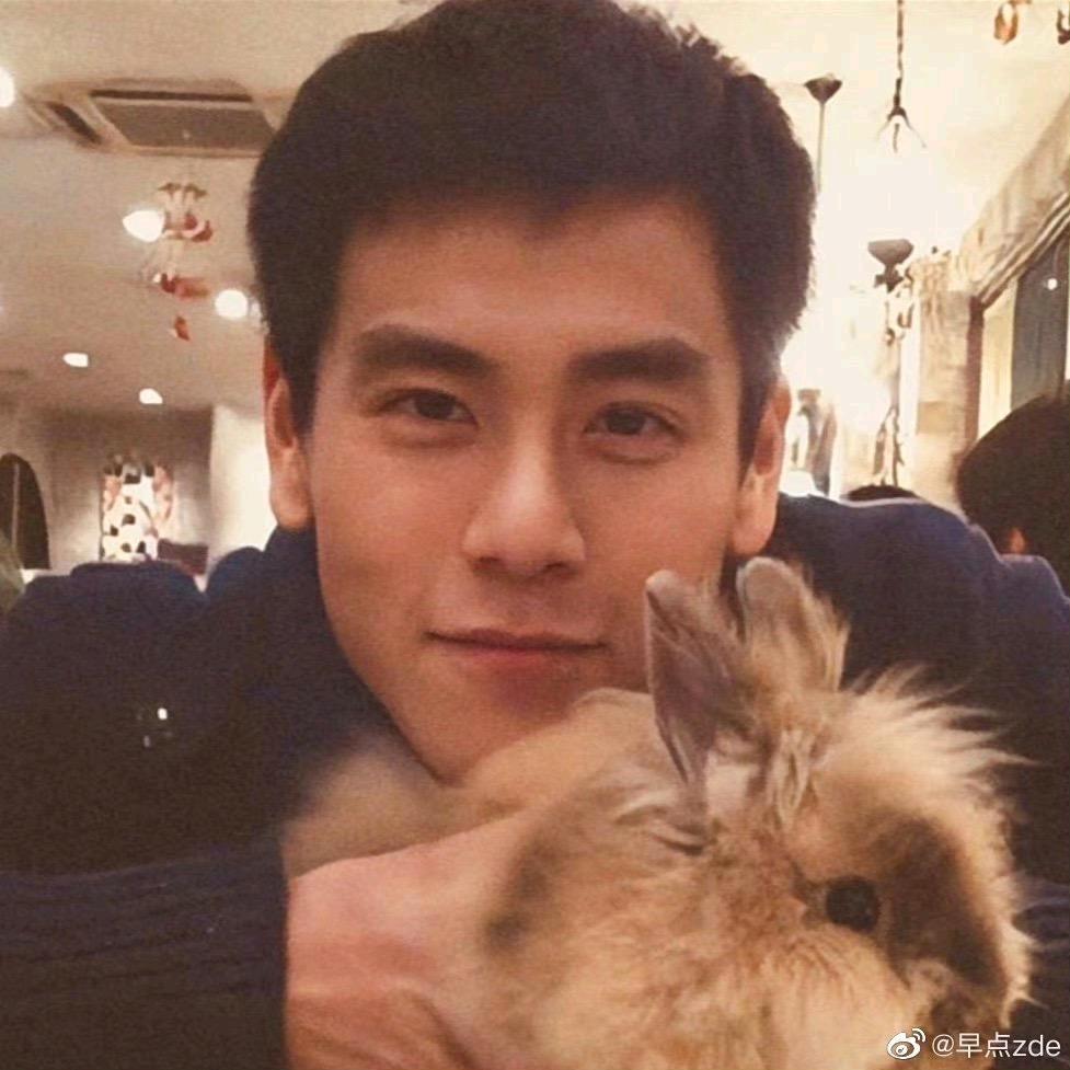 ──  展开 520 条回复 ⌵