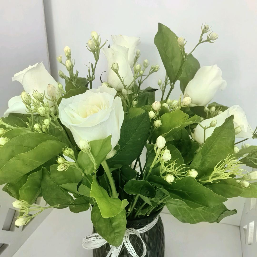 🌈摇～摇～冰💕