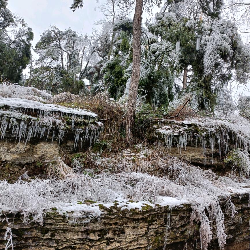 雪原孤狼