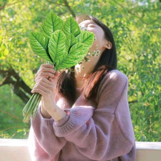 子苓♥️