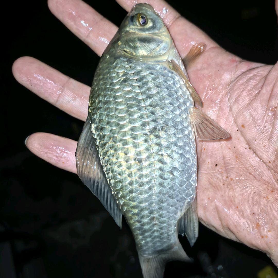 重生之我在苏州做机器