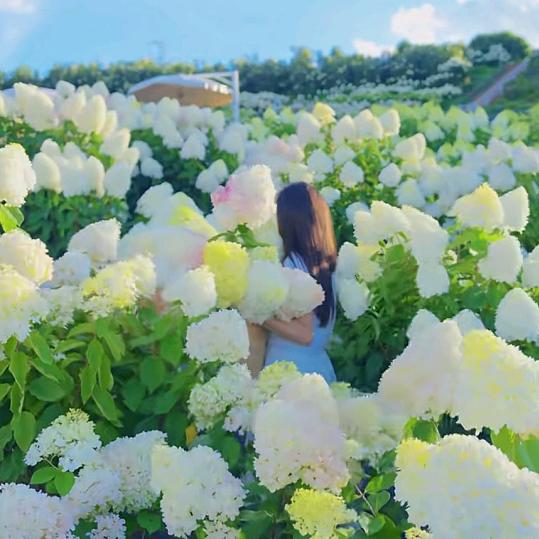 死$性不€改*¥@&