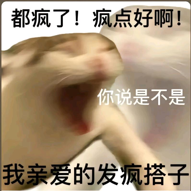 五六只