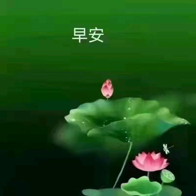 碌碌无为，人生已过半！