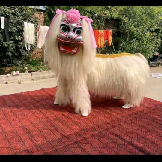 阿星醒狮团《全国接单》