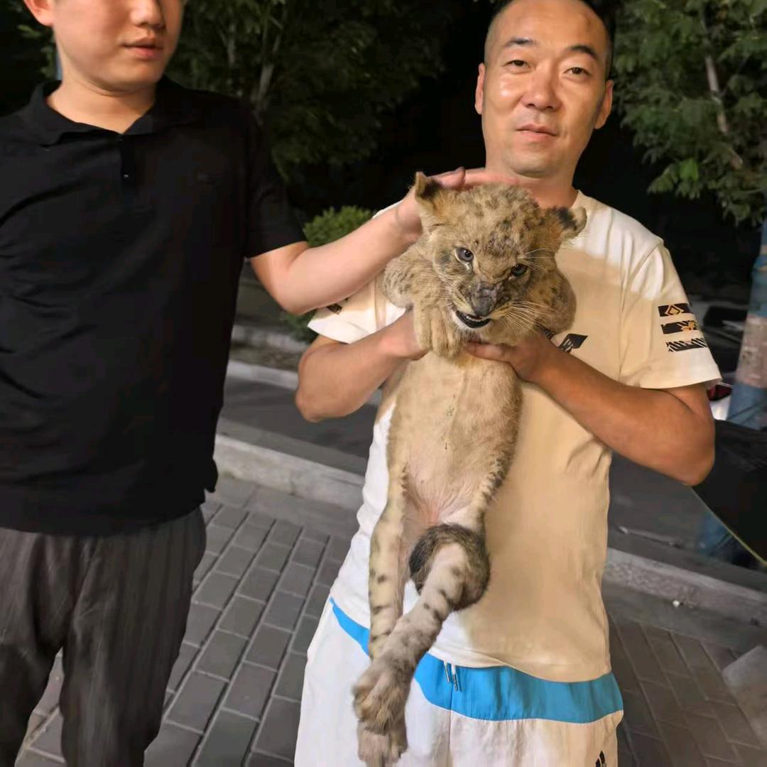 航哥哥（沣膳居）