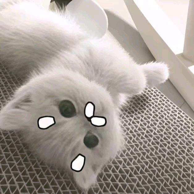 爱里有唉