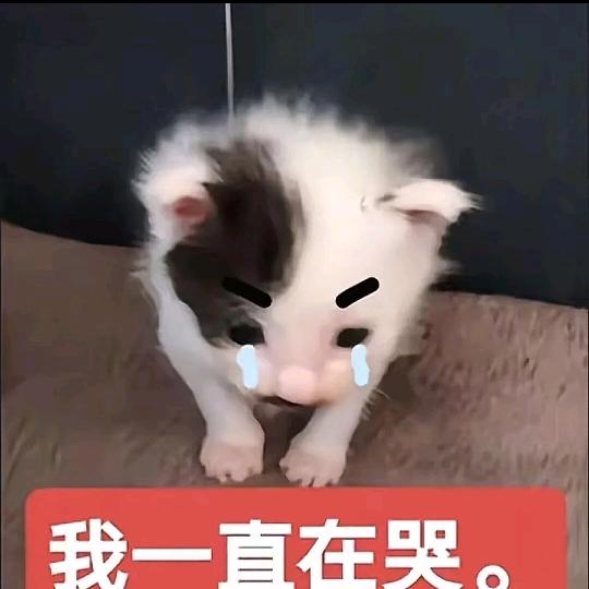 困睡了