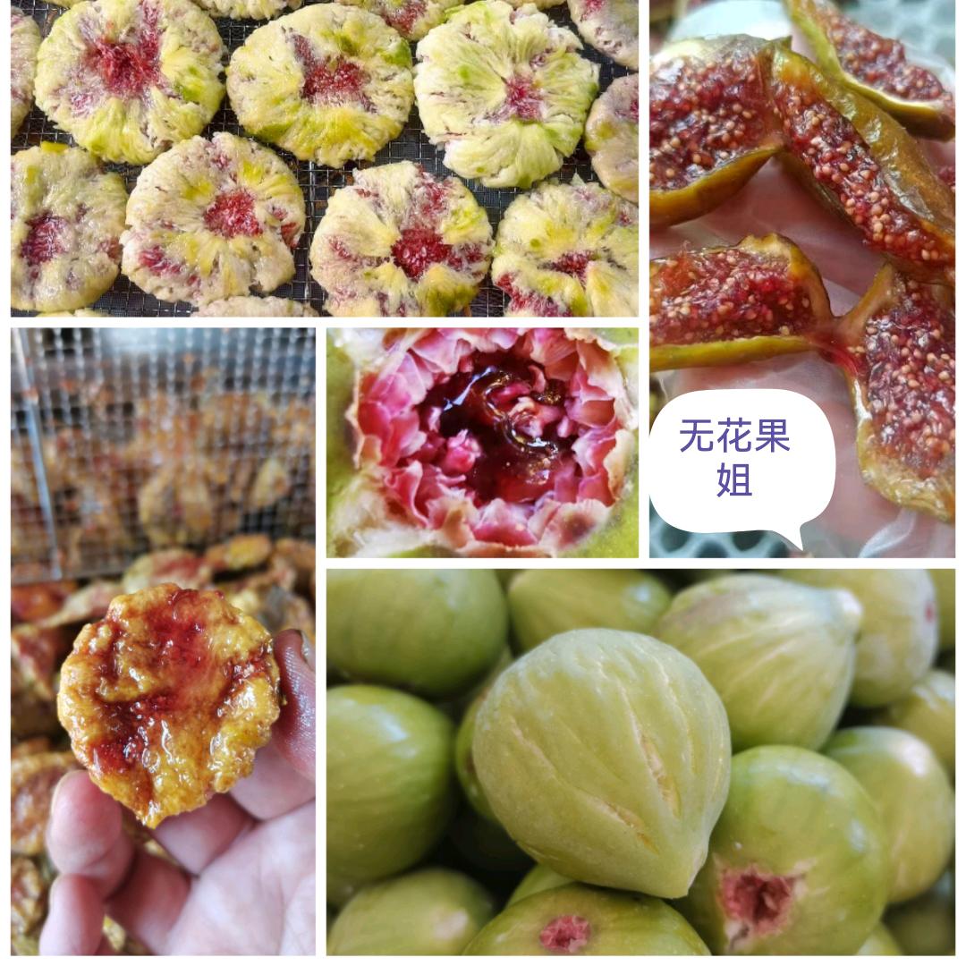 威海青皮无花果真甜（无花果干）